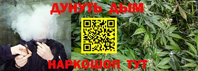 спиды Канаш