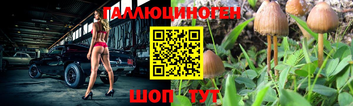 Псилоцибиновые грибы прущие грибы Кондопога