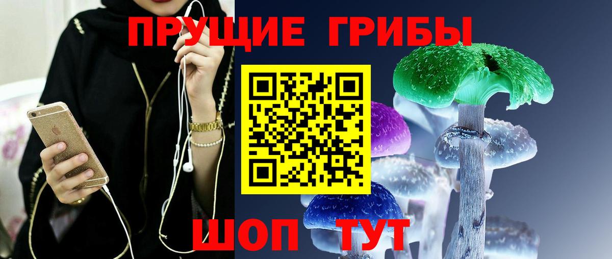 Кондопога  Галлюциногенные грибы Psilocybine cubensis  где купить наркоту  Вход с VPN 